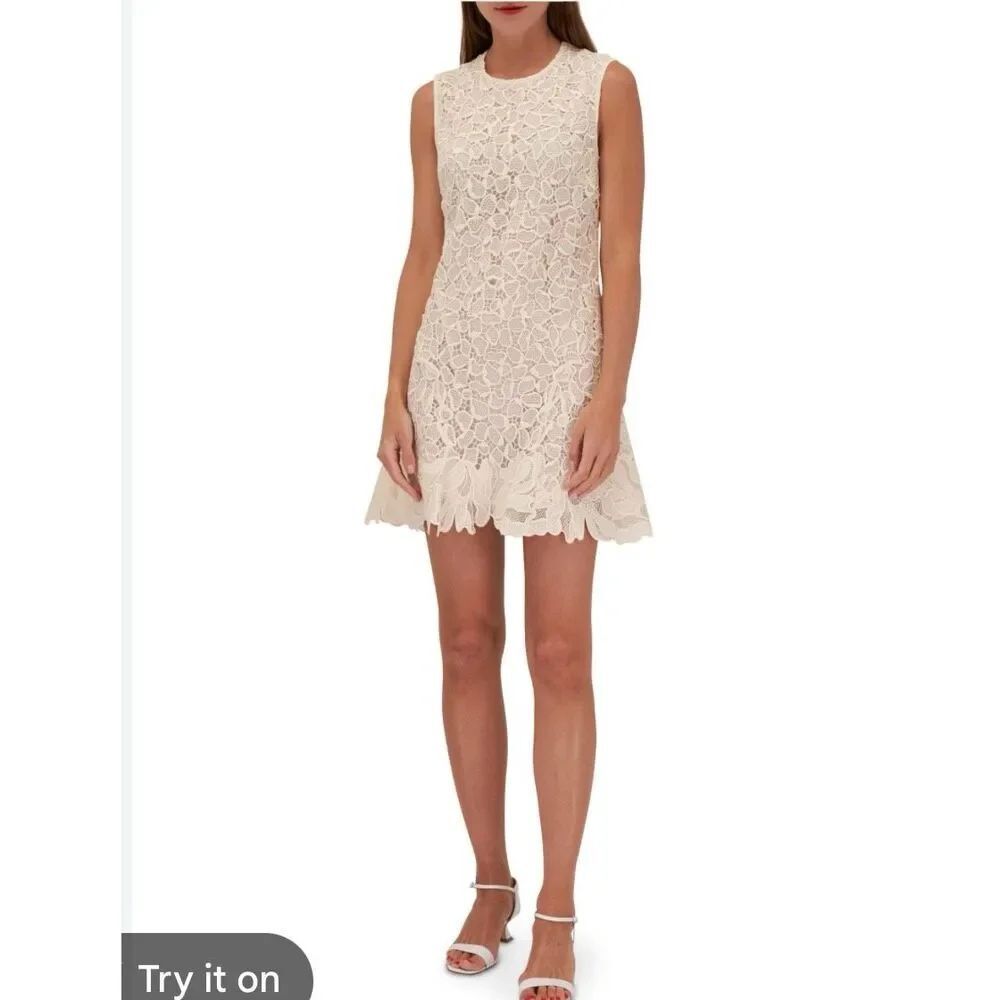 Simkhai Drake Ivory Lace Mini Dress sz 8 NWT